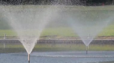 Sabahın erken saatlerinde Tokyo, Japonya 'da bir parkta yavaş çekim yapan çeşme.