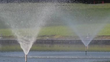 Tokyo, Japonya - 22 Haziran 2025: Tokyo, Japonya 'da sabahın erken saatlerinde bir parkta çeşme