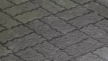 Tokyo, Japonya - 23 Haziran 2025: Bir havuza yavaş yağmur yağması