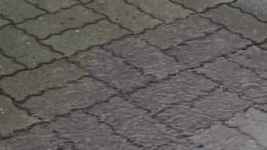 Tokyo, Japonya - 23 Haziran 2025: Havuza düşen yağmur