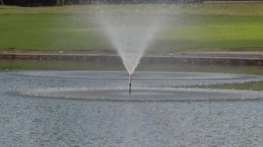 Tokyo, Japonya - 22 Haziran 2025: Tokyo, Japonya 'da sabahın erken saatlerinde bir parkta yavaş çekim kaynağı