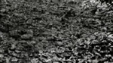 Tokyo, Japonya - 10 Temmuz 2025: Gece bir havuza sağanak yağmur yağdı