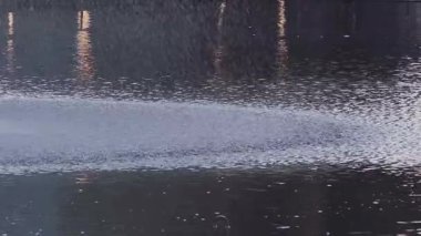 Tokyo, Japonya - 12 Temmuz 2025: Tokyo, Japonya 'da sabahın erken saatlerinde bir parkta yavaş çekim kaynağı