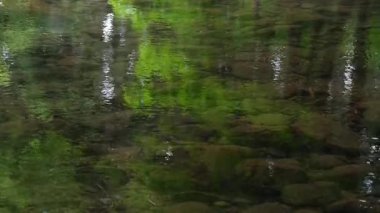 Akita, Japonya - 15 Temmuz 2025: Mototaki Nehri 'nin akışı 