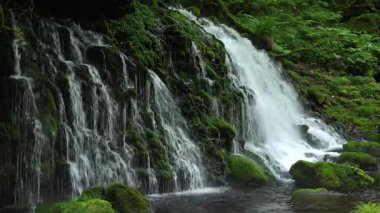 Akita, Japonya - 15 Temmuz 2025: Akita, Japonya 'da Mototaki Yeraltı Suyu