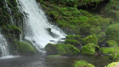 Akita, Japonya - 15 Temmuz 2025: Akita, Japonya 'da Mototaki Yeraltı Suyu