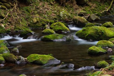 Akita, Japonya - 15 Temmuz 2025: Mototaki Nehri 'nin akışı 