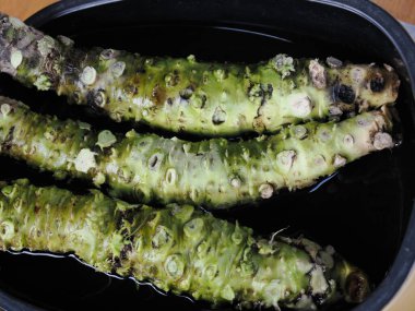 Tokyo, Japonya - 22 Ağustos 2025: En kaliteli taze wasabi ya da Japon yaban turpu