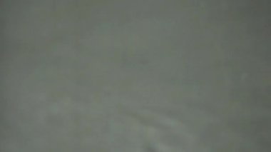 Tokyo, Japonya - 23 Ağustos 2025: Su deseninin beyaz duvara yansıması