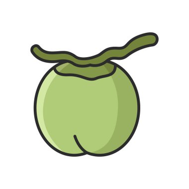 Hindistan cevizi ikonu vektör tasarım şablonu beyaz arkaplan