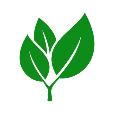 Beyaz arkaplanda yaprak simgesi tasarım şablonu