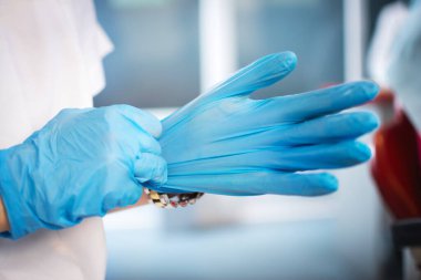 Kadın doktorların ellerini kapat. Ofiste mavi sterilize cerrahi eldiven tak..