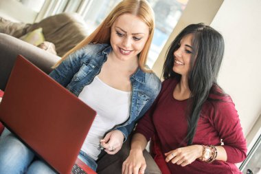 iki güzel bayan arkadaşlar internet tarama.