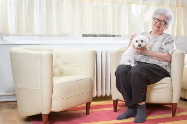 Starsza Kobieta Klepie Małego Maltańskiego Psa Podczas Relaksu Fotelu Domu — Zdjęcie stockowe