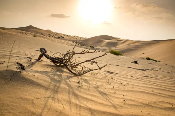 Bellissimo Tramonto Nel Deserto — Foto Stock