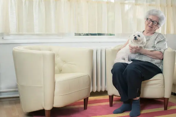 Senior Mulher Segurando Cão Seu Colo Relaxante Sala Estar — Fotografia de Stock