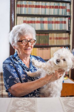 Yaşlı kadın evde küçük bir Maltese köpeği tutuyor.