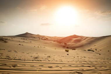 Güzel gün batımı Sahara Çölü'nde. Gün batımında kum tepeleri.