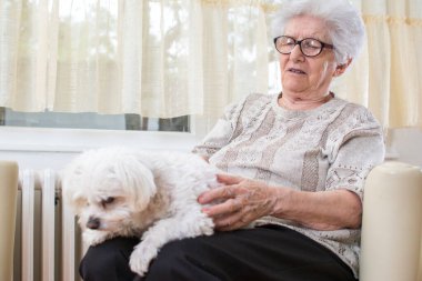 Evdeki koltukta dinlenirken kucağında küçük bir köpek tutan yaşlı kadın..