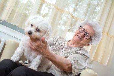 Evde köpeğiyle oynayan son sınıf öğrencisi mutlu kadın..