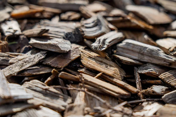 wooden background with bark. saw wood cut piled