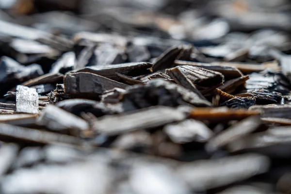 wooden background with bark. saw wood cut piled