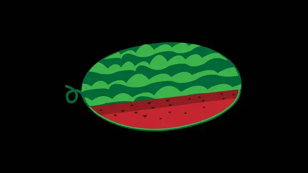 Fresh slices watermelon on black background. Ripe delicious juicy sliced watermelon illustration background.