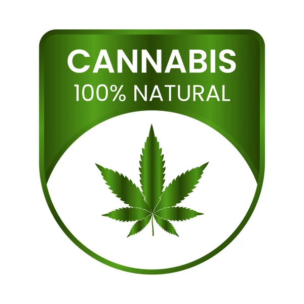 Medical Cannabis 100 Percent Natural Badge Label Seal Hemp Oil — Stock Vector