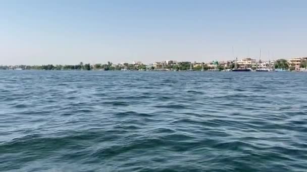 Navigating Waters Nile River — Stock Video