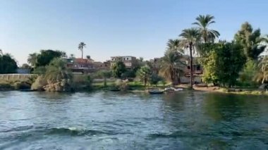 EGYPT. Timelapse. Panoramic view of the shore and its vegetation on the banks of the Nile River.