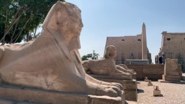 Sphinxes Avenue at the entrance of Luxor s temple