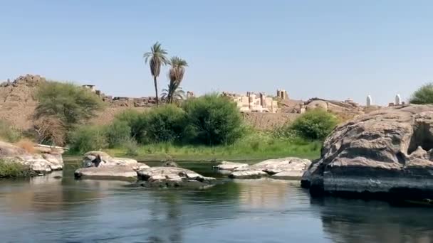Плавання Біля Скель Нілі — стокове відео