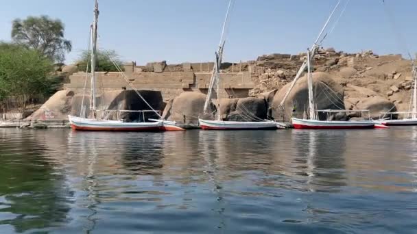 Falucas Amarradas Isla Elefantina Rio Nilo Egipto — стокове відео
