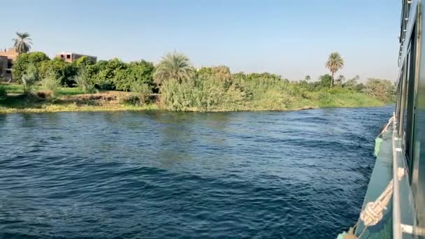 Vegetation Bank Nile Seen Cruise — Vídeo de stock