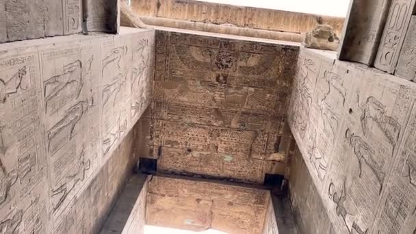Paintings Bas Reliefs Entrance Temple Edfu — Stockvideo