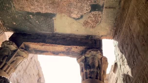 Paintings Engravings Reliefs Make Decoration Walls Ceiling Temple Edfu — Stock video