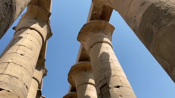 Колонны Храме Луксора Египет — стоковое видео
