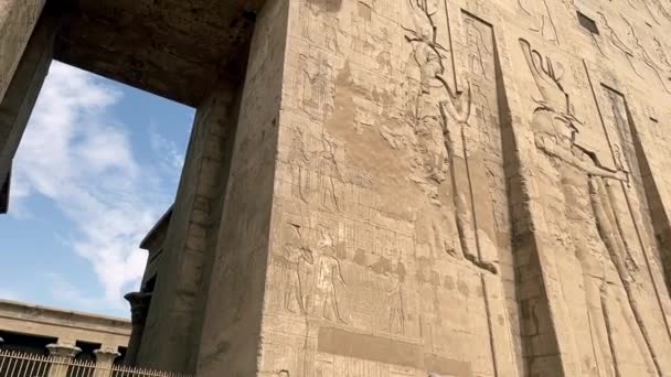 Pylon Temple Edfu Statue Horus Various Engravings Reliefs — Stockvideo