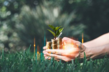 investment concept, saving, investment strategy plan, woman hands holding blurred stacking coins with virtual trading graph and tree growing on stacking coins.