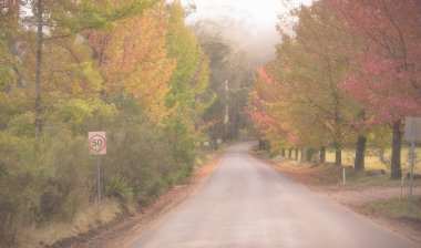 Sonbahar yapraklarının soyut arkaplanı sonbahar arkaplanı, sonbaharda güzel sonbahar manzarası sarı ve kahverengi ve sonbahar ayları