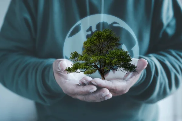 Mãos Segurando Árvore Glob Virtual Como Conceito Eficiência Energética Energia — Fotografia de Stock