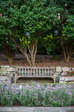 Old Wooden Bench in Garden, Bahar zamanı Avustralya