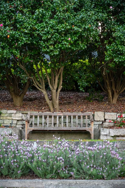 Old Wooden Bench in Garden, Bahar zamanı Avustralya