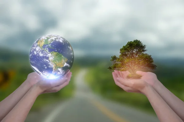 hands holding global earth and tree with blurred background in concept of earth day save earth and sustainability energy