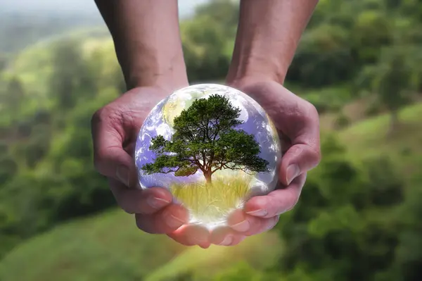 hand holding crystal ball ESG concept. Environment society and governance sustainable business on blurred green background multi exposure, Elements of this image furnished by NASA