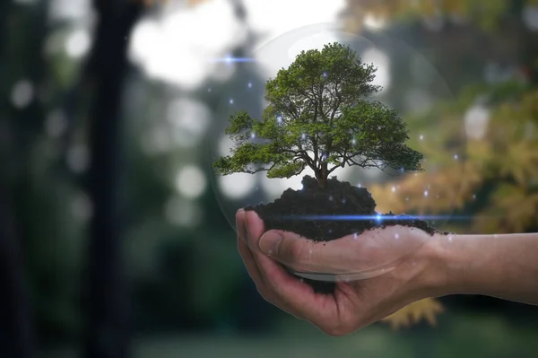 Environment society and governance sustainable business on blurred green autumn background multi exposure, hand holding crystal ball ESG woth tree