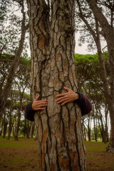 Kahverengi bir ağaç gövdesine sarılan bir adam. Çevre ve çevresel yaşam tarzı insanları kavramı. Ormanların tahrip edilmesinden tasarruf. Korunma. Açık hava eğlence parkı aktivitesi