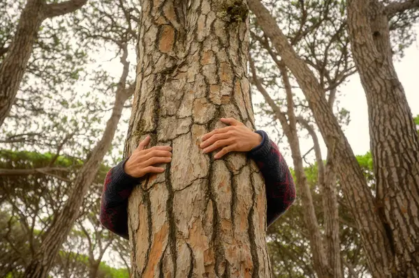 Kahverengi bir ağaç gövdesine sarılan bir adam. Çevre ve çevresel yaşam tarzı insanları kavramı. Ormanların tahrip edilmesinden tasarruf. Korunma. Açık hava eğlence parkı aktivitesi