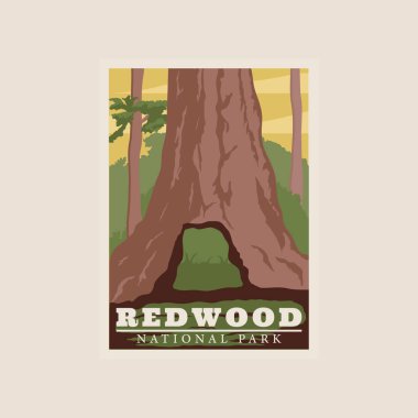 Redwood Ulusal Park 'ın klasik vektör illüstrasyon tasarımı. Ulusal Park Vintage poster tasarımı