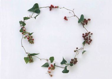 Beyaz arkaplanda güzel çiçekler